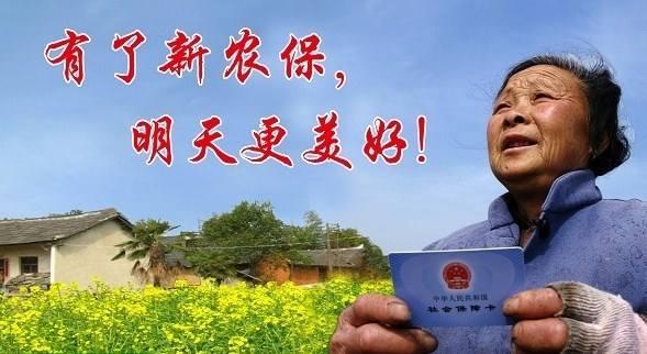 新农保个人账户查询要怎么做？