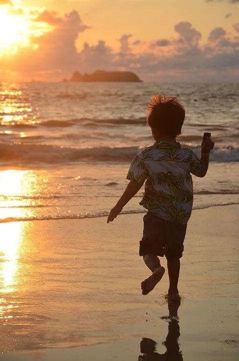 幼儿教育金保险到底该如何选择