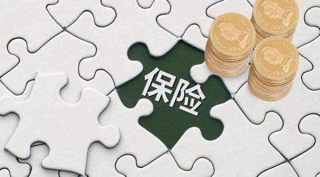 保险可以规避债务吗？