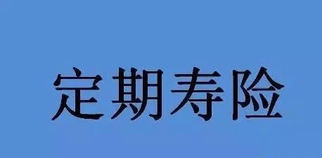 职工大额医疗互助保险每月多少钱？
