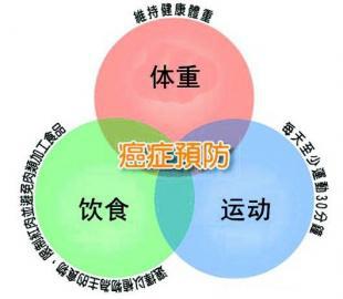 共享汽车保险最多赔多少？