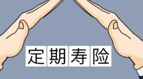 定期寿险排名微医保怎么样？购买定期寿险需要注意什么？