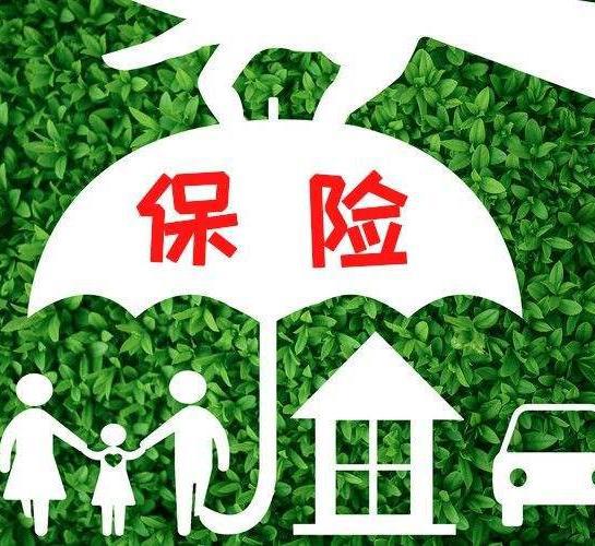 电梯安全责任保险的相关介绍