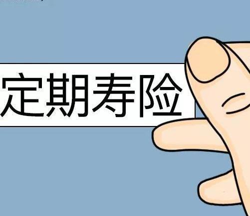 瑞和定期寿险怎么样？瑞和定期寿险有什么优势吗？