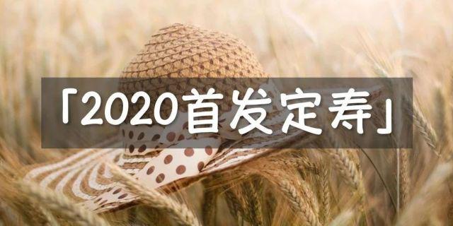 性价比最高的定期寿险 为你选择更适合的定期寿险