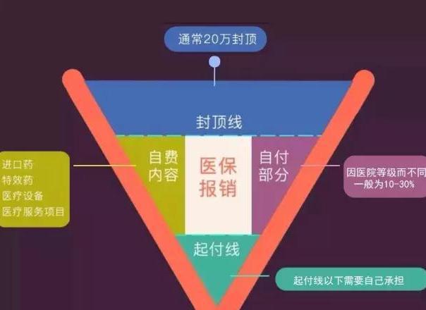 2018年汽车保险费率上调了吗?