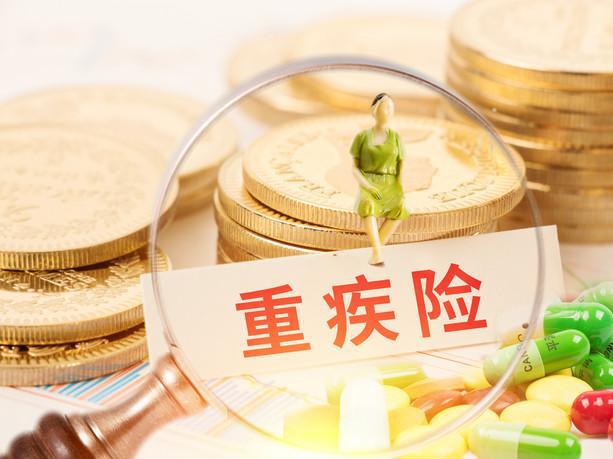神州租车基本保险费是多少?