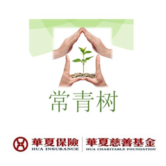 华夏重疾险常青树特惠版好不好？重大疾病买哪个保险好？