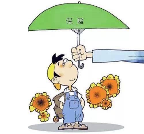 基本医疗保险一档是什么意思？
