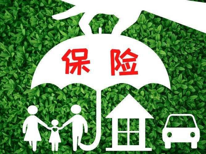 基本医疗保险一档好还是二档好？