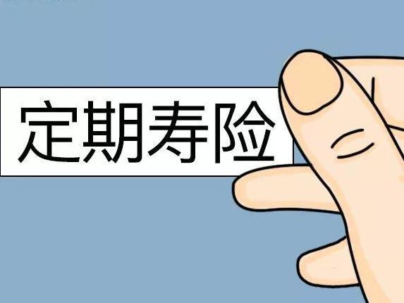 寿险都有哪些类型 寿险保额多少合适
