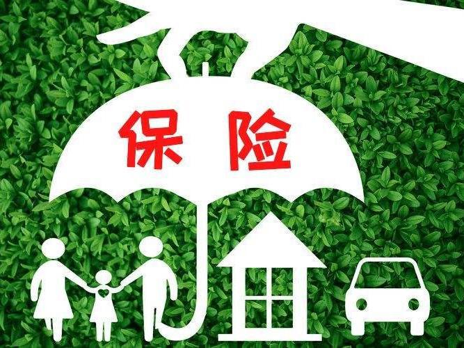 保险欺诈最频繁的险种是什么?
