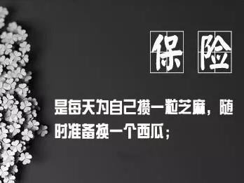 保险投资收益率排名