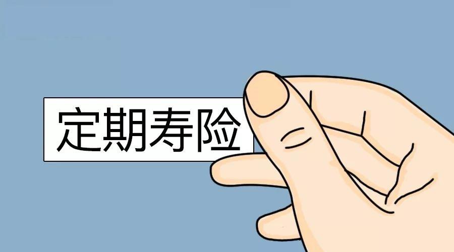 如何设立保险科技公司?