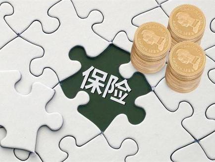 存款保险基金的运用形式