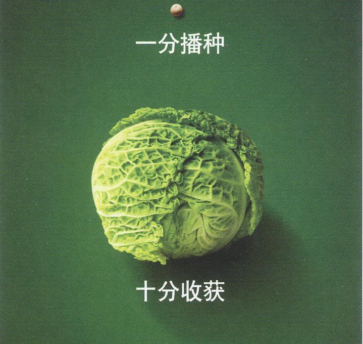 保险牌照怎么办理？