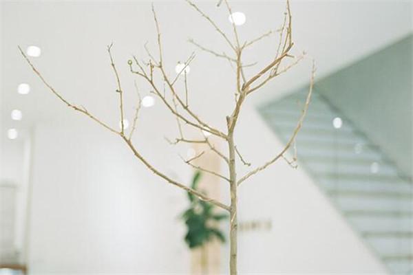 航延险算意外险吗？