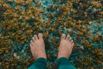 一个真实案例带你了解重疾险理赔的门道