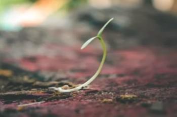 保险产品不在投保区域内，到底能不能买？