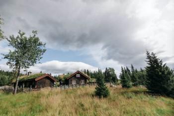 什么是相互保？保的是什么？运作模式到底是怎样的？