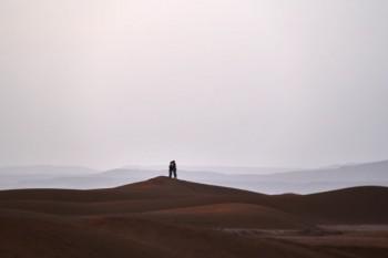 京东悄悄在APP上推出的一款理财产品就变成了爆款，而你到现在还不知道