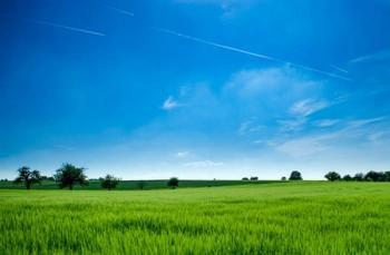 意外险近因原则下，真正的“意外”是什么？