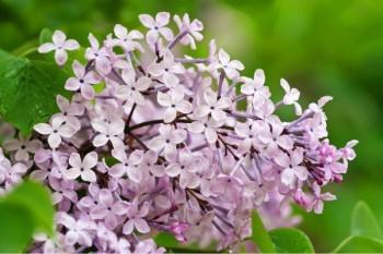  通过案例了解低收入家庭该如何保险！