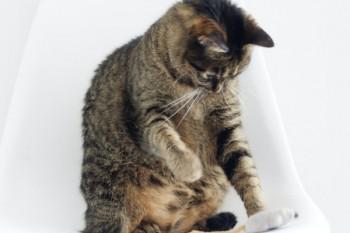 关于外来综合保险卡查询方法有哪些？