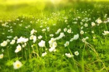 什么是智能核保？