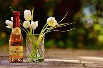 购买健康保险时健康状况告知的重要性