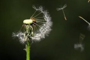 重大变革：保监会和银监会合并了！