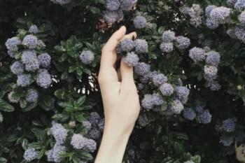 保险经纪人眼中的重大疾病保险之重疾险是确诊即理赔么？