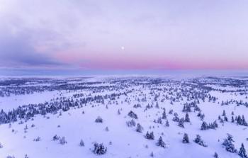 投保前已经治愈的癌症在投保后复发，能够获得保险的赔付吗？ 