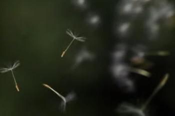 网购保险如何购买才安全？