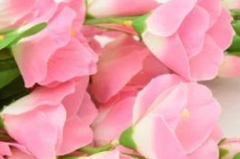 宝贝启航2018少儿教育金免责条款内容介绍