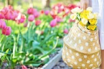 瑞泰瑞盈重疾险评测