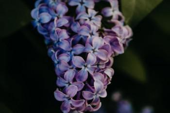 孩子得了白血病，赶紧看看这篇文章