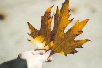 医疗保险大病救助的作用是什么？