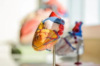 保险知识：面对需求滞后又该如何做出措施