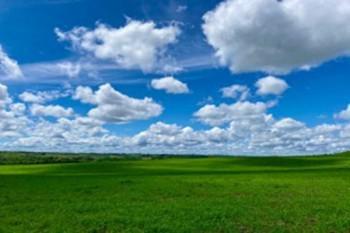 2019年互联网保险的“风口”是什么？