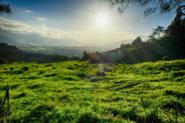 延迟退休激发商业养老保险的重要性