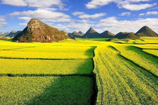 个人健康保险计划应该如何规划？