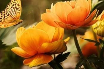 少儿教育金保险购买小技巧