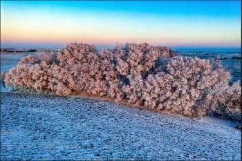 中学生大病保险挑选指南