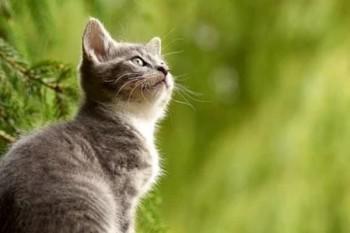 知识大全：职工基本医疗保险的相关内容