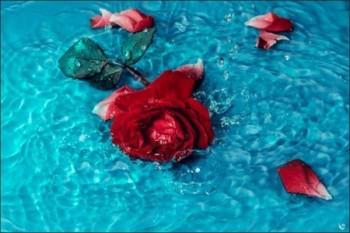 老人旅游为什么要投保老年人旅游险？