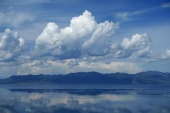 IT工程师们，应该如何规划理财型保险？