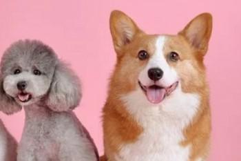 珍爱一生重大疾病保险的保险责任，你了解多少？