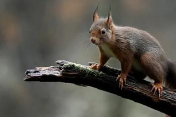 西安市城镇居民大病保险报销需要这些，你了解了吗