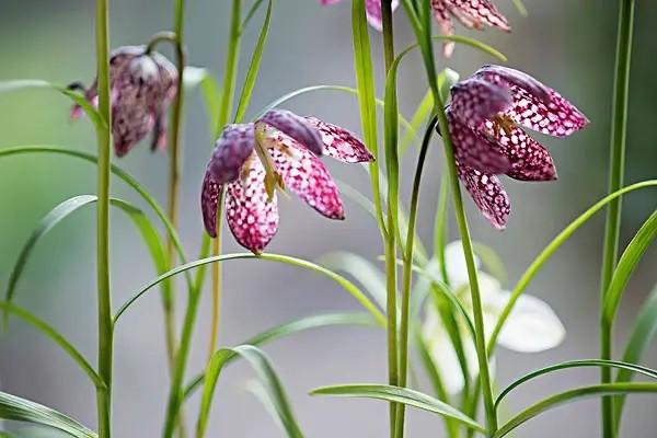 什么是独生子女养老金新政策呢？要满足什么样的条件才能享受这个新政策呢？